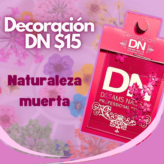 DECORACIÓN DN Naturaleza Muerta