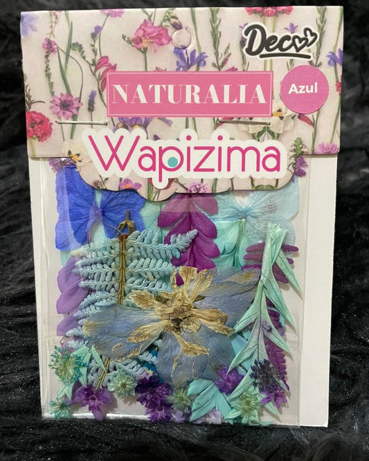 Naturaleza Muerta Grande Wapizima