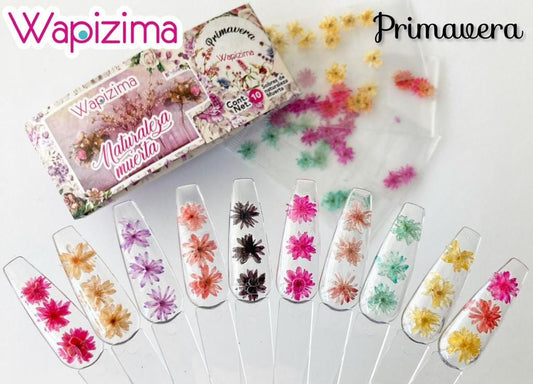 Naturaleza Muerta Wapizima