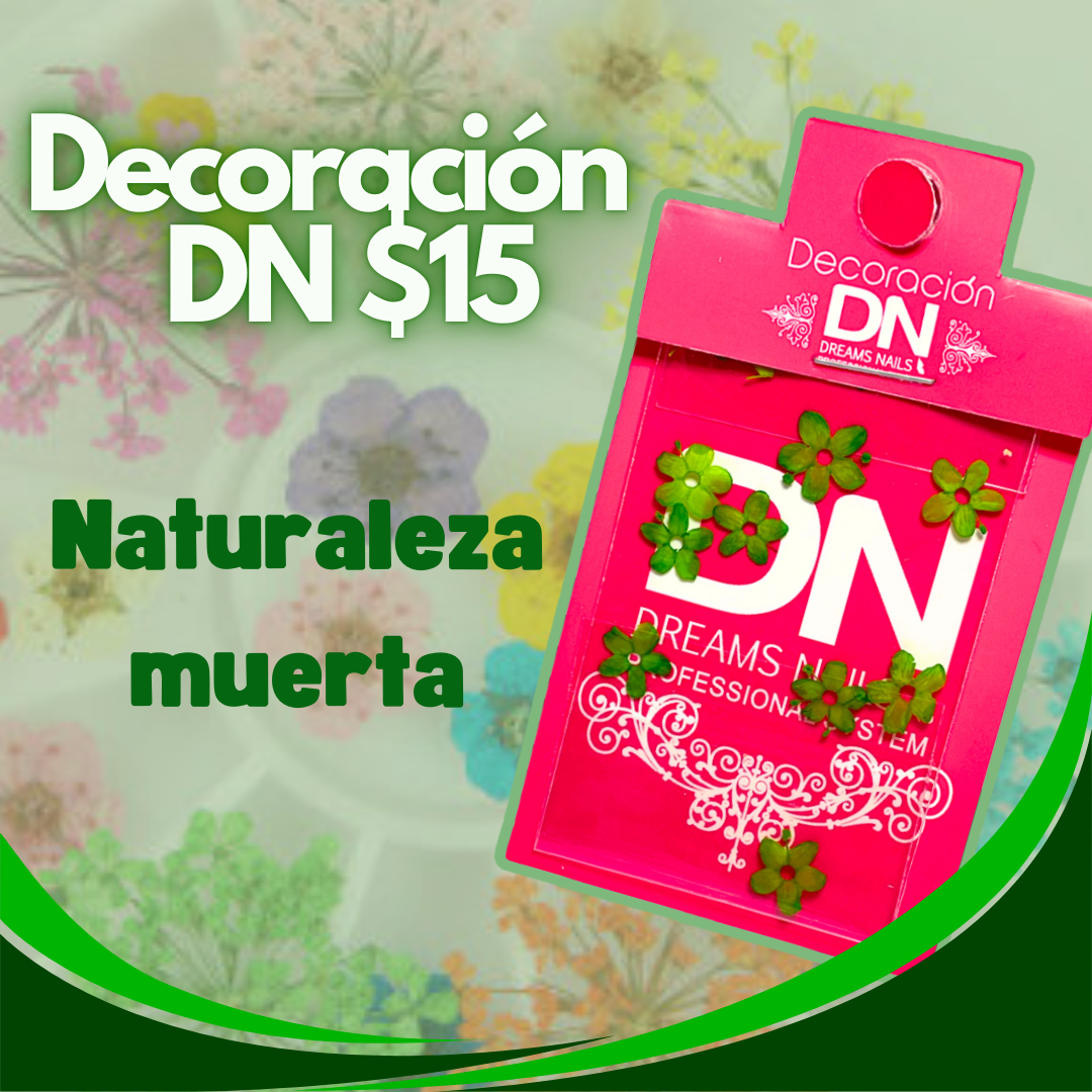 DECORACIÓN DN Naturaleza Muerta