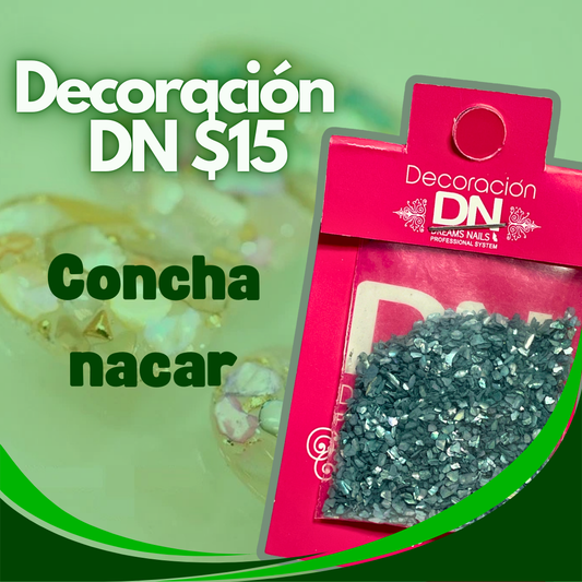 DECORACIÓN DN concha nácar