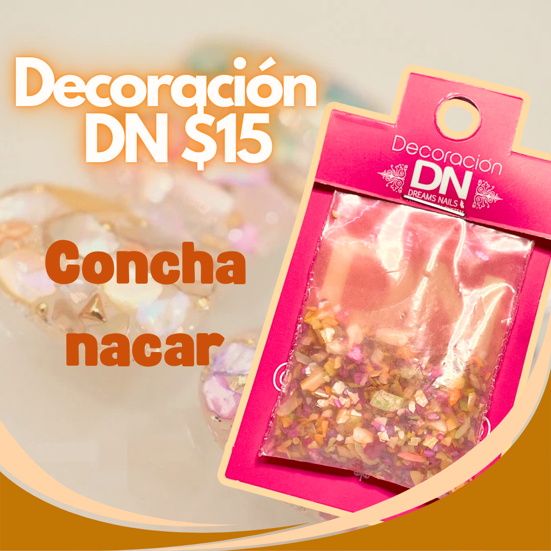 DECORACIÓN DN concha nácar