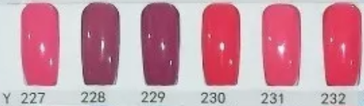 Gel mussa