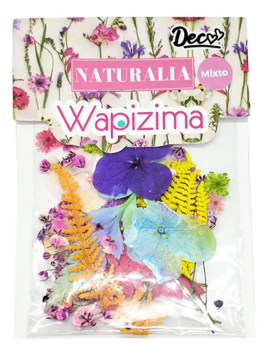 Naturaleza Muerta Grande Wapizima