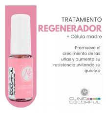 Tratamiento Regenerador Celulas Madre Colorful